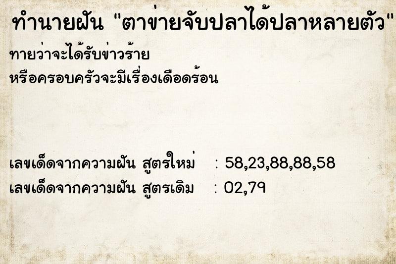 ทำนายฝันตาข่ายจับปลาได้ปลาหลายตัว ทำนายฝันทำนายฝันตาข่ายจับปลาได้ปลาหลายตัว