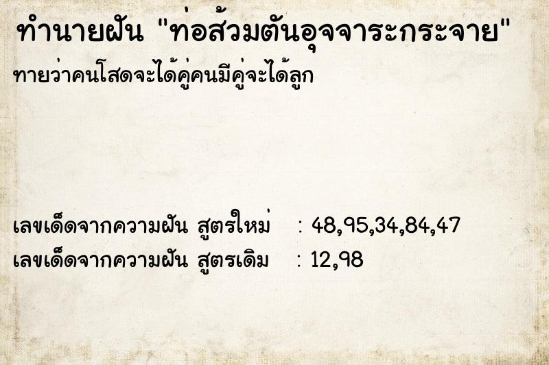 ทำนายฝันทำนายฝันท่อส้วมตันอุจจาระกระจาย