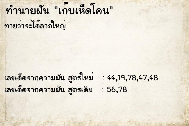 ทำนายฝันเก๊บเห็ดโคน ทำนายฝันทำนายฝันเก๊บเห็ดโคน