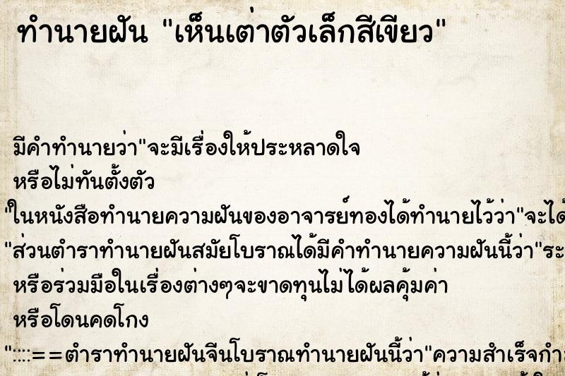 ทำนายฝัน เห็นเต่าตัวเล็กสีเขียว ทำนายฝัน เห็นเต่าตัวเล็กสีเขียว
