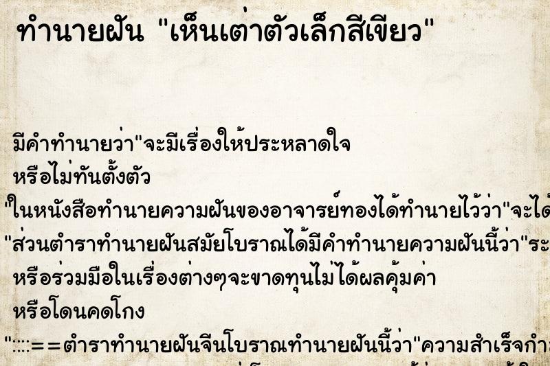 ทำนายฝัน เห็นเต่าตัวเล็กสีเขียว ตำราโบราณ แม่นที่สุดในโลก