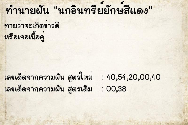 ทำนายฝัน นกอินทรีย์ยักษ์สีแดง ทำนายฝัน นกอินทรีย์ยักษ์สีแดง