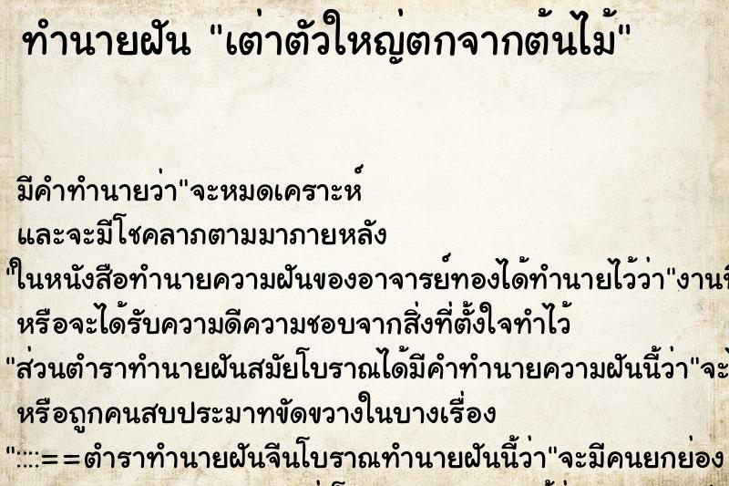 ทำนายฝัน เต่าตัวใหญ่ตกจากต้นไม้ ทำนายฝัน เต่าตัวใหญ่ตกจากต้นไม้