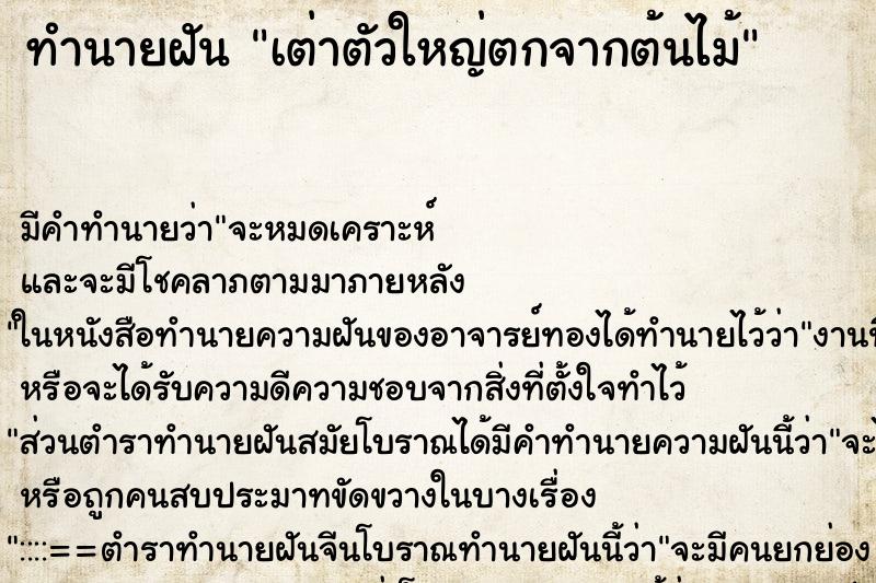 ทำนายฝัน เต่าตัวใหญ่ตกจากต้นไม้ ตำราโบราณ แม่นที่สุดในโลก