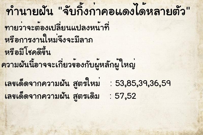 ทำนายฝันจับกิ้งก่าคอแดงได้หลายตัว ทำนายฝันทำนายฝันจับกิ้งก่าคอแดงได้หลายตัว