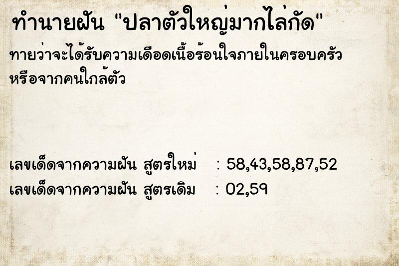 ทำนายฝัน ปลาตัวใหญ่มากไล่กัด ตำราโบราณ แม่นที่สุดในโลก