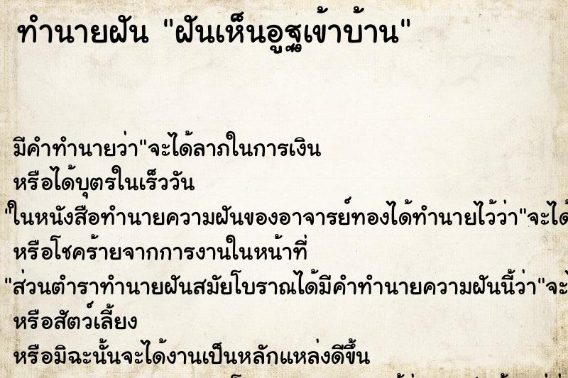 ทำนายฝันทำนายฝันฝันเห็นอูฐเข้าบ้าน