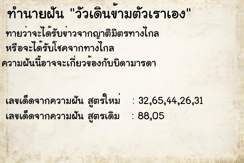 ทำนายฝันวัวเดินข้ามตัวเราเอง ทำนายฝันทำนายฝันวัวเดินข้ามตัวเราเอง