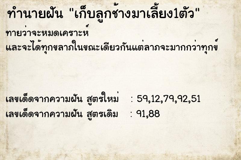 ทำนายฝันเก็บลูกช้างมาเลี้ยง1ตัว ทำนายฝันทำนายฝันเก็บลูกช้างมาเลี้ยง1ตัว