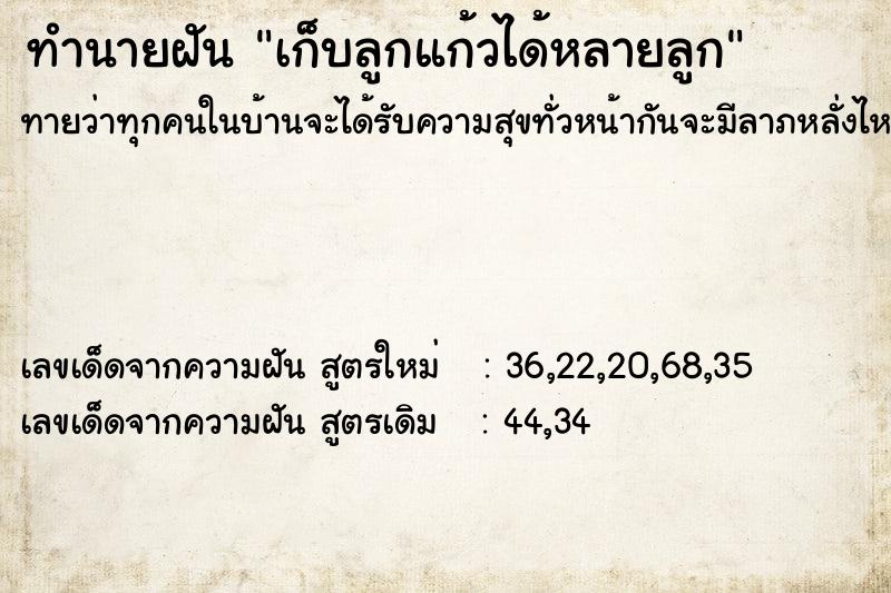 ทำนายฝันเก็บลูกแก้วได้หลายลูก ทำนายฝันทำนายฝันเก็บลูกแก้วได้หลายลูก