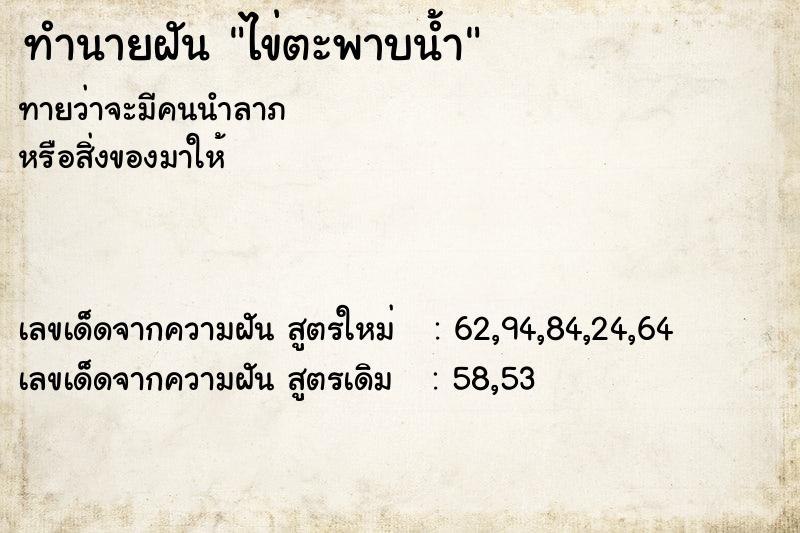ทำนายฝันไข่ตะพาบน้ำ ทำนายฝันทำนายฝันไข่ตะพาบน้ำ