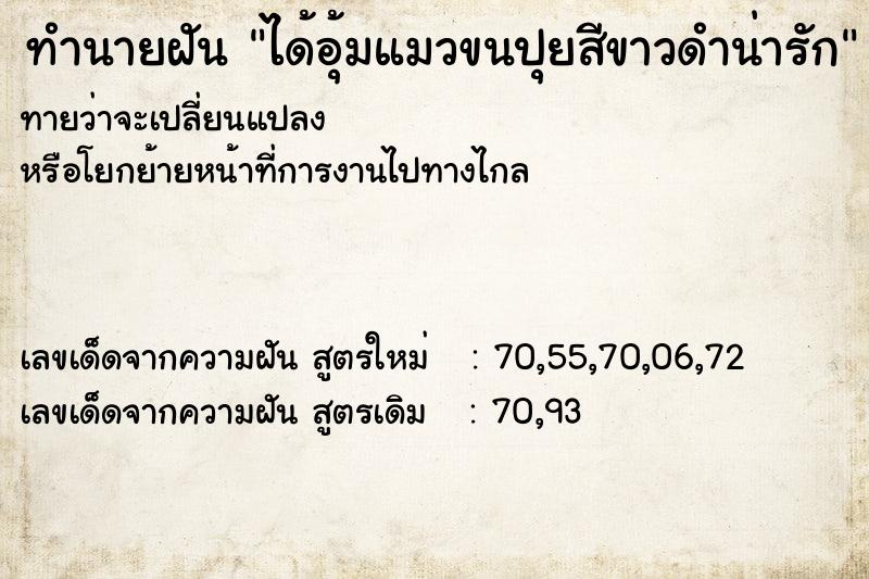 ทำนายฝันทำนายฝันได้อุ้มแมวขนปุยสีขาวดำน่ารัก