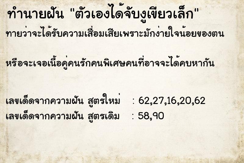 ทำนายฝันทำนายฝันตัวเองได้จับงูเขียวเล็ก
