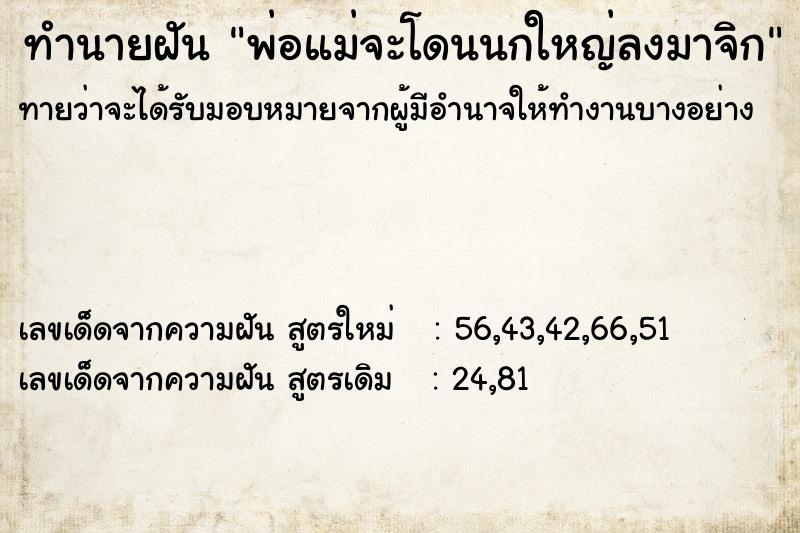 ทำนายฝันทำนายฝันพ่อแม่จะโดนนกใหญ่ลงมาจิก