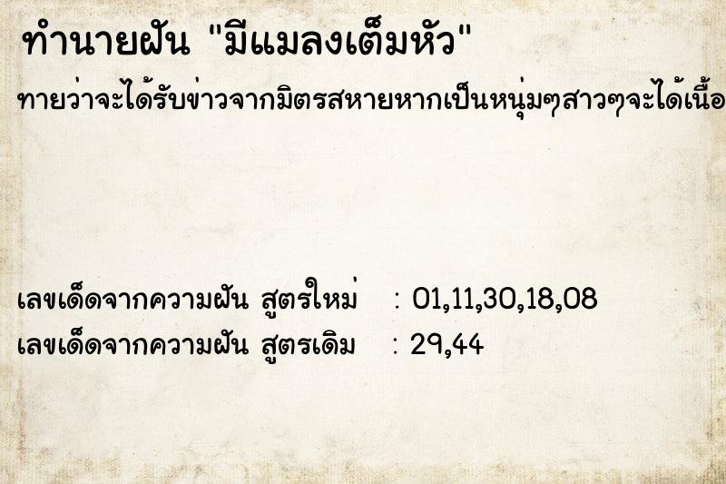 ทำนายฝันมีแมลงเต็มหัว ทำนายฝันทำนายฝันมีแมลงเต็มหัว