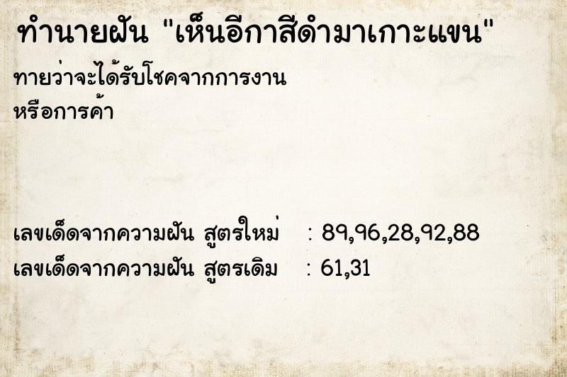 ทำนายฝันทำนายฝันเห็นอีกาสีดำมาเกาะแขน