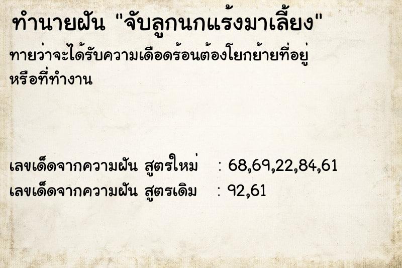 ทำนายฝันทำนายฝันจับลูกนกแร้งมาเลี้ยง