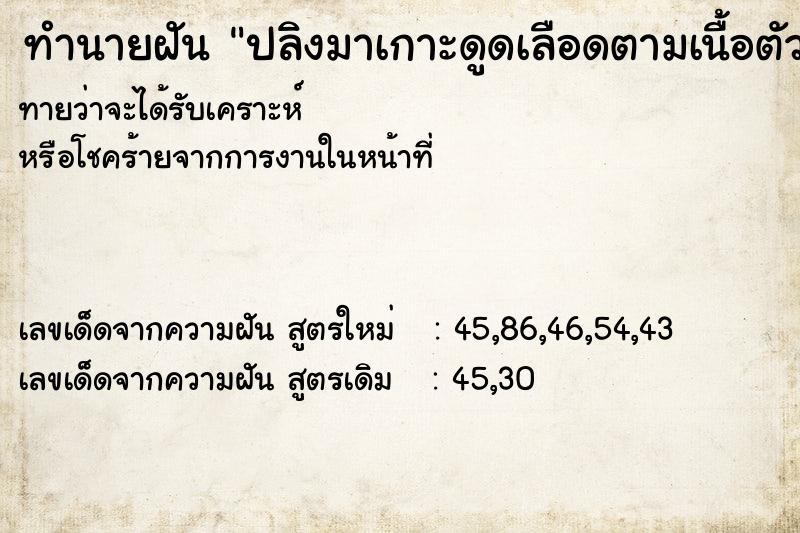 ทำนายฝันปลิงมาเกาะดูดเลือดตามเนื้อตัว ทำนายฝันทำนายฝันปลิงมาเกาะดูดเลือดตามเนื้อตัว