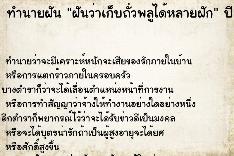 ทำนายฝันฝันว่าเก็บถั่วพลูได้หลายฝัก ทำนายฝันทำนายฝันฝันว่าเก็บถั่วพลูได้หลายฝัก