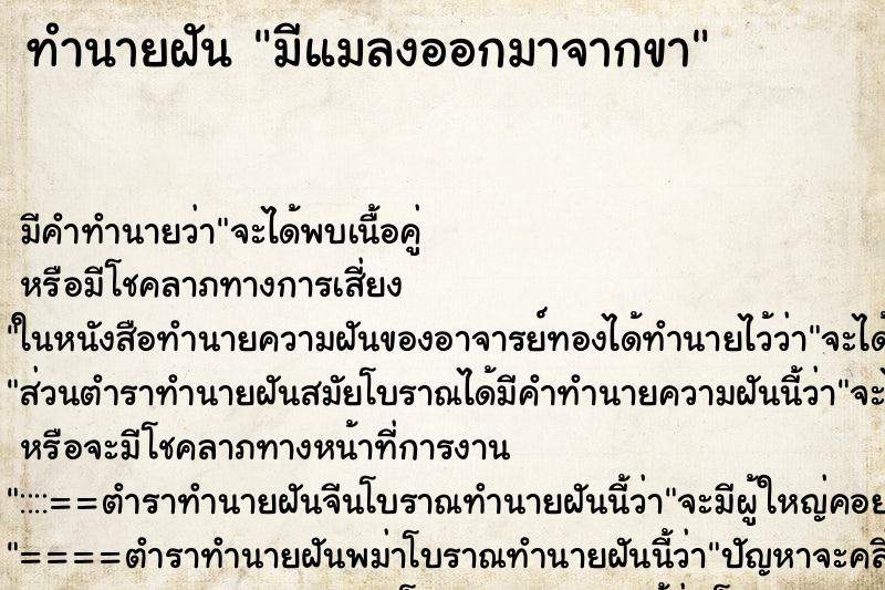 ทำนายฝัน มีแมลงออกมาจากขา ทำนายฝัน มีแมลงออกมาจากขา