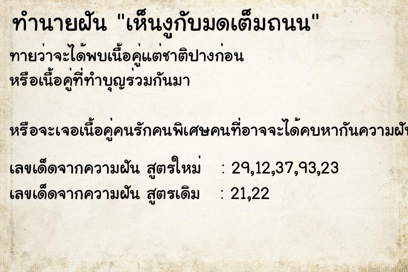 ทำนายฝันเห็นงูกับมดเต็มถนน ทำนายฝันทำนายฝันเห็นงูกับมดเต็มถนน