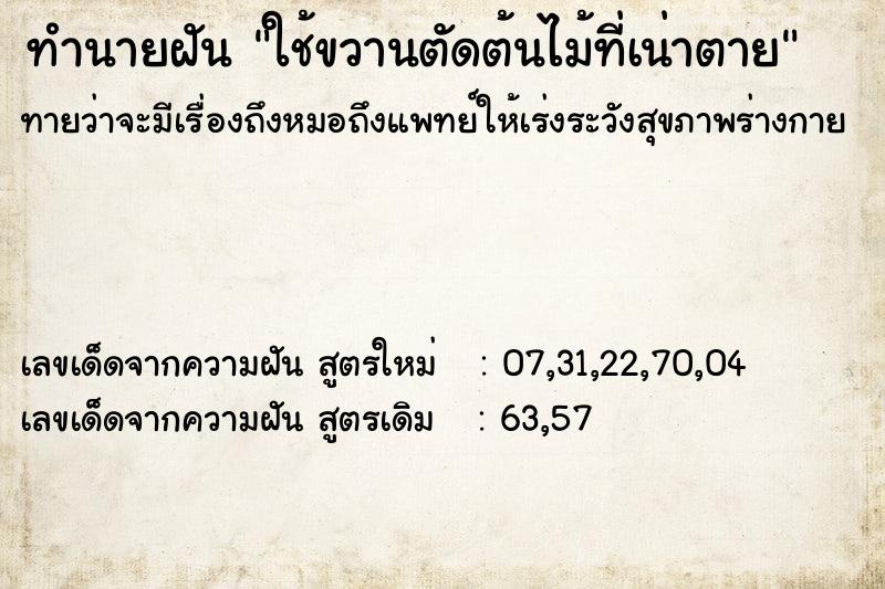 ทำนายฝันใช้ขวานตัดต้นไม้ที่เน่าตาย ทำนายฝันทำนายฝันใช้ขวานตัดต้นไม้ที่เน่าตาย