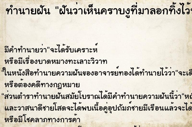 ทำนายฝันฝันว่าเห็นคราบงูที่มาลอกทิ้งไว้หลังบ้านเรา ทำนายฝันทำนายฝันฝันว่าเห็นคราบงูที่มาลอกทิ้งไว้หลังบ้านเรา
