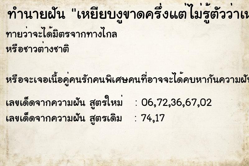 ทำนายฝันเหยียบงูขาดครึ่งแต่ไม่รู้ตัวว่าเหยียบงู ทำนายฝันทำนายฝันเหยียบงูขาดครึ่งแต่ไม่รู้ตัวว่าเหยียบงู