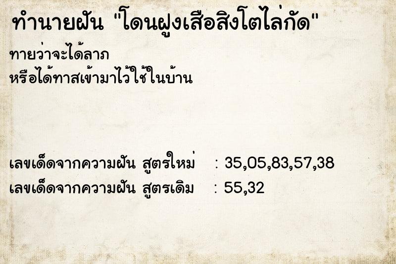 ทำนายฝันโดนฝูงเสือสิงโตไล่กัด ทำนายฝันทำนายฝันโดนฝูงเสือสิงโตไล่กัด