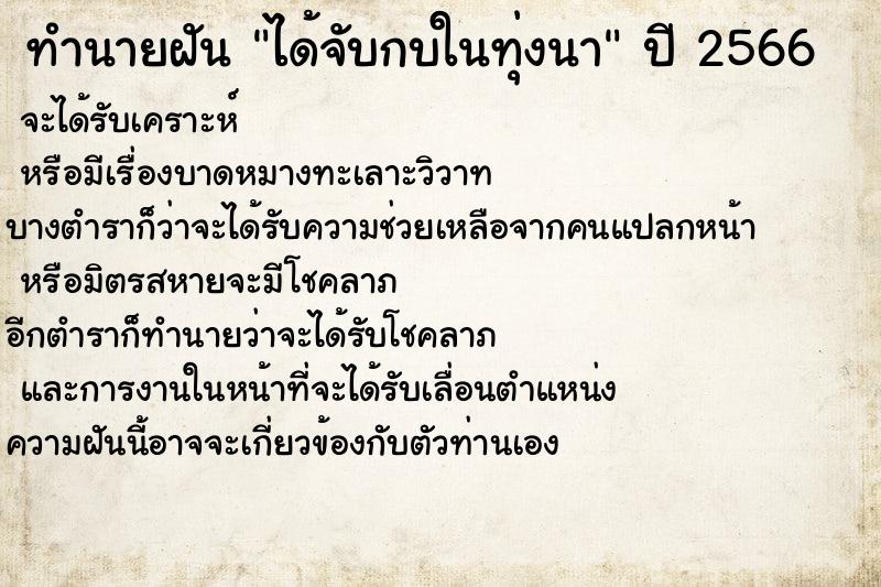 ทำนายฝัน ได้จับกบในทุ่งนา ตำราโบราณ แม่นที่สุดในโลก