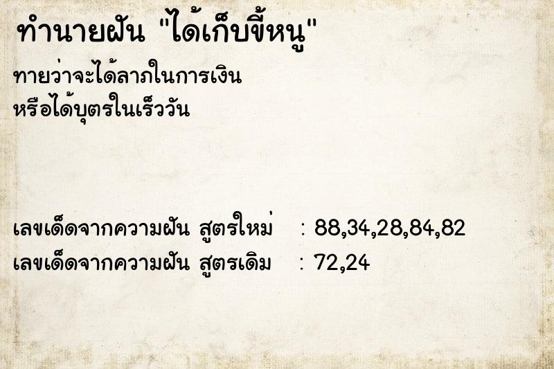 ทำนายฝัน ได้เก็บขี้หนู ทำนายฝัน ได้เก็บขี้หนู