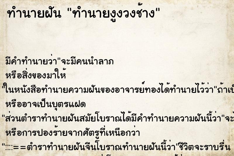 ทำนายฝันทำนายงูงวงช้าง ทำนายฝันทำนายฝันทำนายงูงวงช้าง