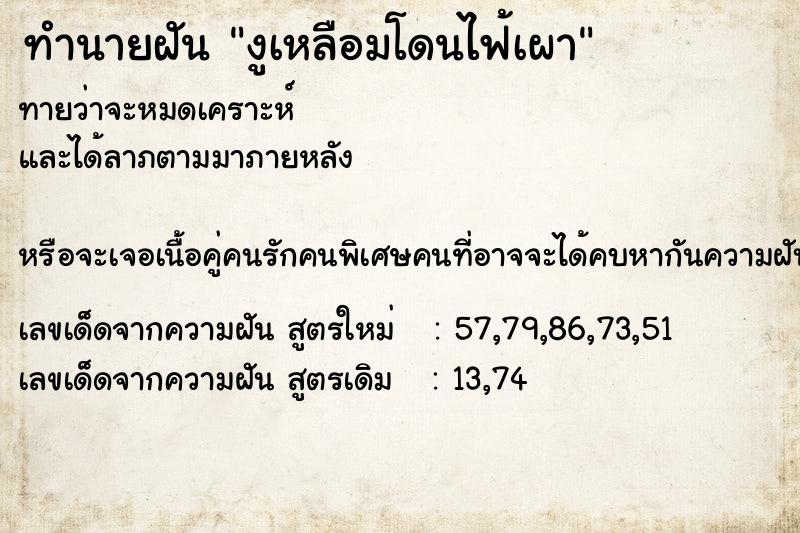 ทำนายฝันทำนายฝันงูเหลือมโดนไฟ้เผา