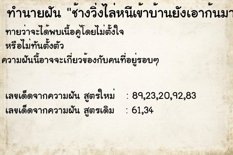 ทำนายฝันช้างวิ่งไล่หนีเข้าบ้านยังเอาก้นมาชนฝาผนัง ทำนายฝันทำนายฝันช้างวิ่งไล่หนีเข้าบ้านยังเอาก้นมาชนฝาผนัง