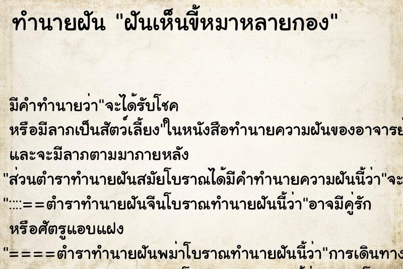 ทำนายฝัน ฝันเห็นขี้หมาหลายกอง ตำราโบราณ แม่นที่สุดในโลก