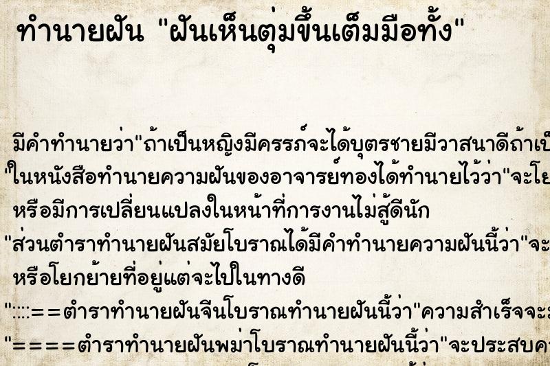 ทำนายฝัน ฝันเห็นตุ่มขึ้นเต็มมือทั้ง ทำนายฝัน ฝันเห็นตุ่มขึ้นเต็มมือทั้ง