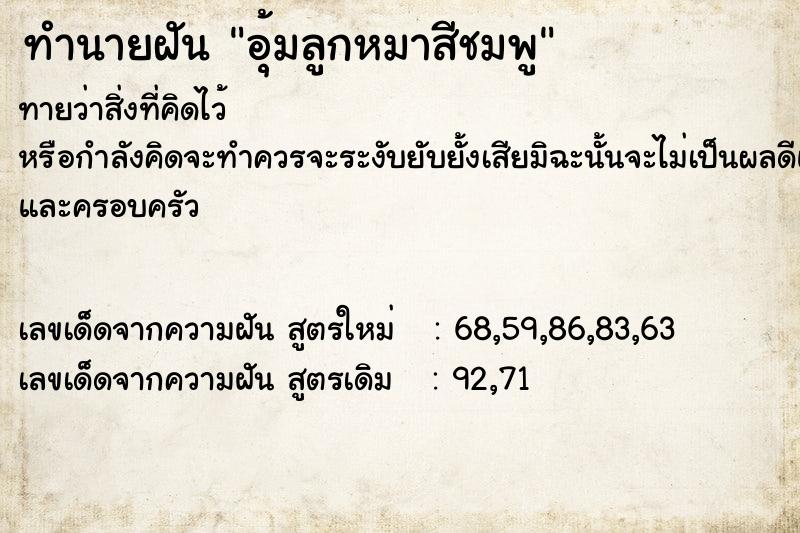 ทำนายฝันอุ้มลูกหมาสีชมพู ทำนายฝันทำนายฝันอุ้มลูกหมาสีชมพู