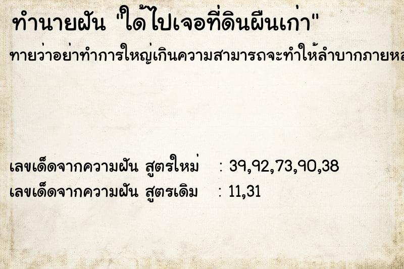 ทำนายฝันทำนายฝันใด้ไปเจอที่ดินผืนเก่า