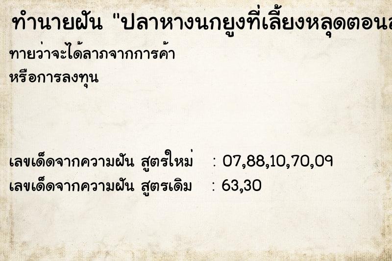 ทำนายฝันทำนายฝันปลาหางนกยูงที่เลี้ยงหลุดตอนล้างอ่าง