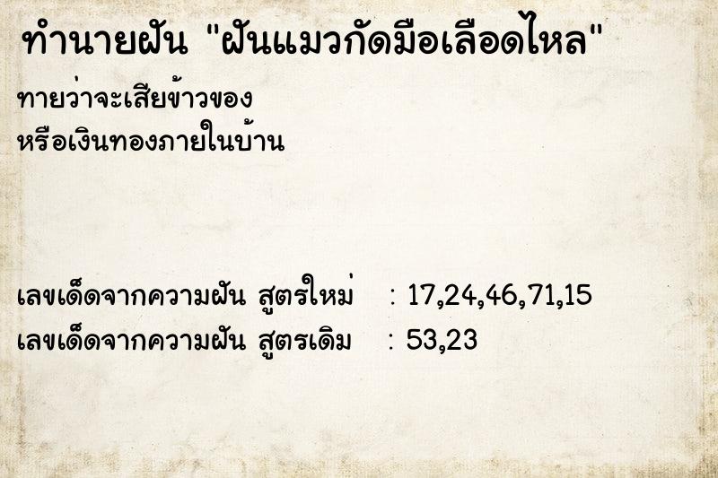 ทำนายฝันทำนายฝันฝันแมวกัดมือเลือดไหล