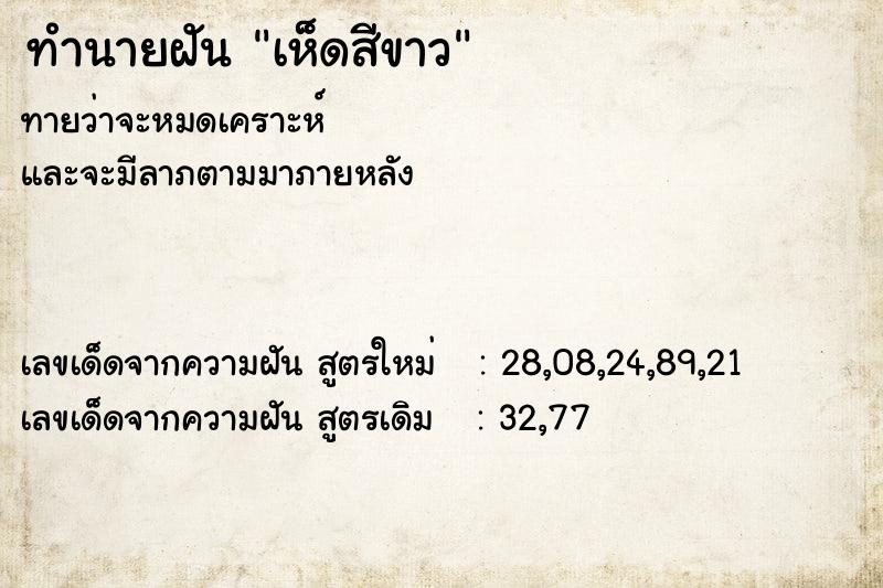 ทำนายฝันเห็ดสีขาว ทำนายฝันทำนายฝันเห็ดสีขาว