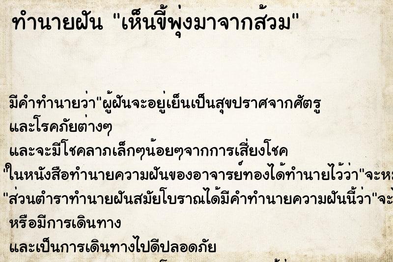 ทำนายฝัน เห็นขี้พุ่งมาจากส้วม ทำนายฝัน เห็นขี้พุ่งมาจากส้วม