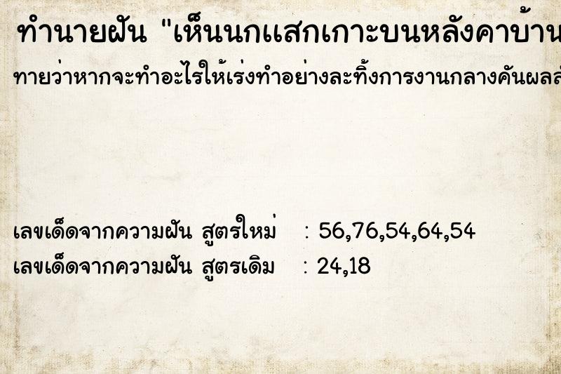 ทำนายฝันเห็นนกเเสกเกาะบนหลังคาบ้าน ทำนายฝันทำนายฝันเห็นนกเเสกเกาะบนหลังคาบ้าน