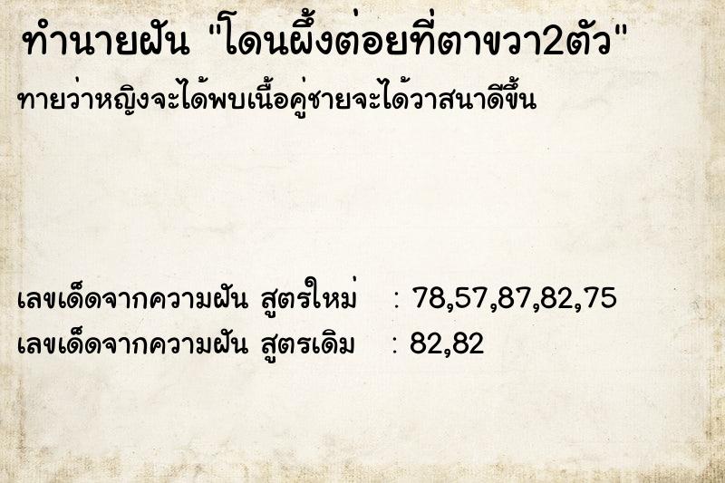 ทำนายฝันโดนผึ้งต่อยที่ตาขวา2ตัว ทำนายฝันทำนายฝันโดนผึ้งต่อยที่ตาขวา2ตัว