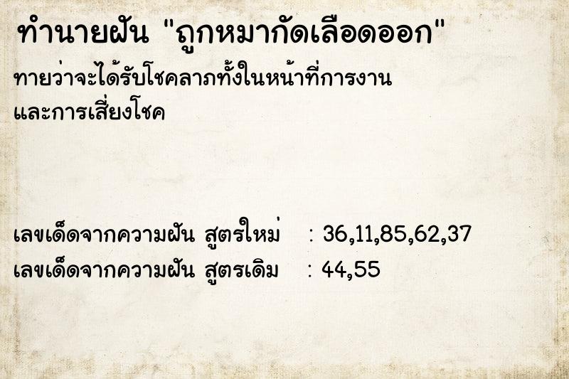 ทำนายฝันถูกหมากัดเลือดออก ทำนายฝันทำนายฝันถูกหมากัดเลือดออก