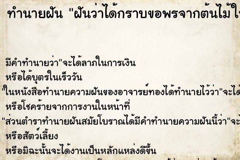 ทำนายฝันทำนายฝันฝันว่าได้กราบขอพรจากต้นไม้ใหญ่