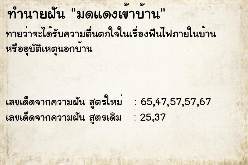 ทำนายฝันมดแดงเข้าบ้าน ทำนายฝันทำนายฝันมดแดงเข้าบ้าน