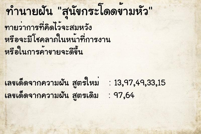 ทำนายฝันสุนัขกระโดดข้ามหัว ทำนายฝันทำนายฝันสุนัขกระโดดข้ามหัว