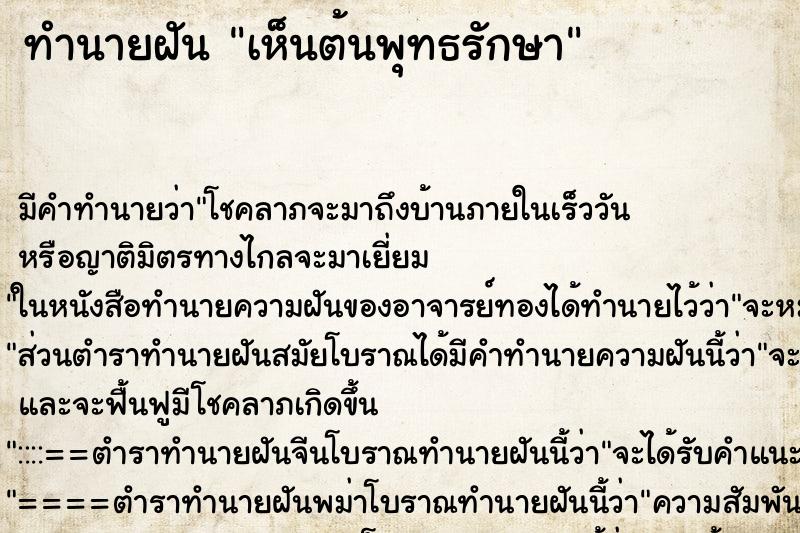 ทำนายฝันเห็นต้นพุทธรักษา ทำนายฝันทำนายฝันเห็นต้นพุทธรักษา