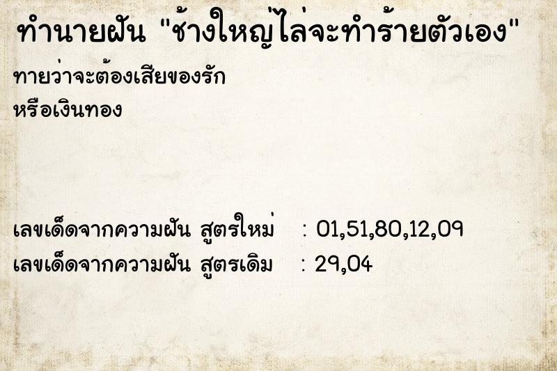 ทำนายฝันทำนายฝันช้างใหญ่ไล่จะทำร้ายตัวเอง